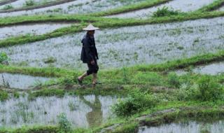 石家庄山水家园 石家庄山水家园