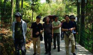 厦门大学艺术学院